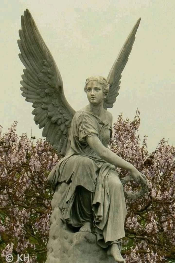 Martin & Pentra | The Angel and the Devil. thumbnail