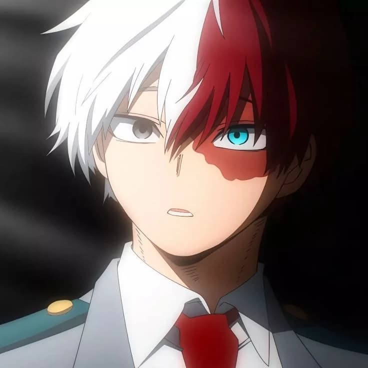 Shoto Todoroki thumbnail