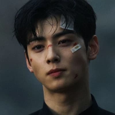 Cha Eun Woo thumbnail