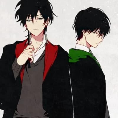 (hogwarts)Los Riddles-Gaunt hermanos thumbnail