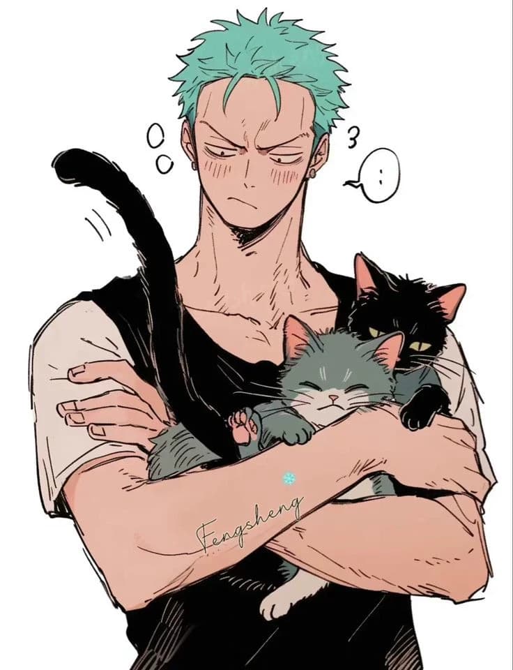 Zoro roronoa  thumbnail