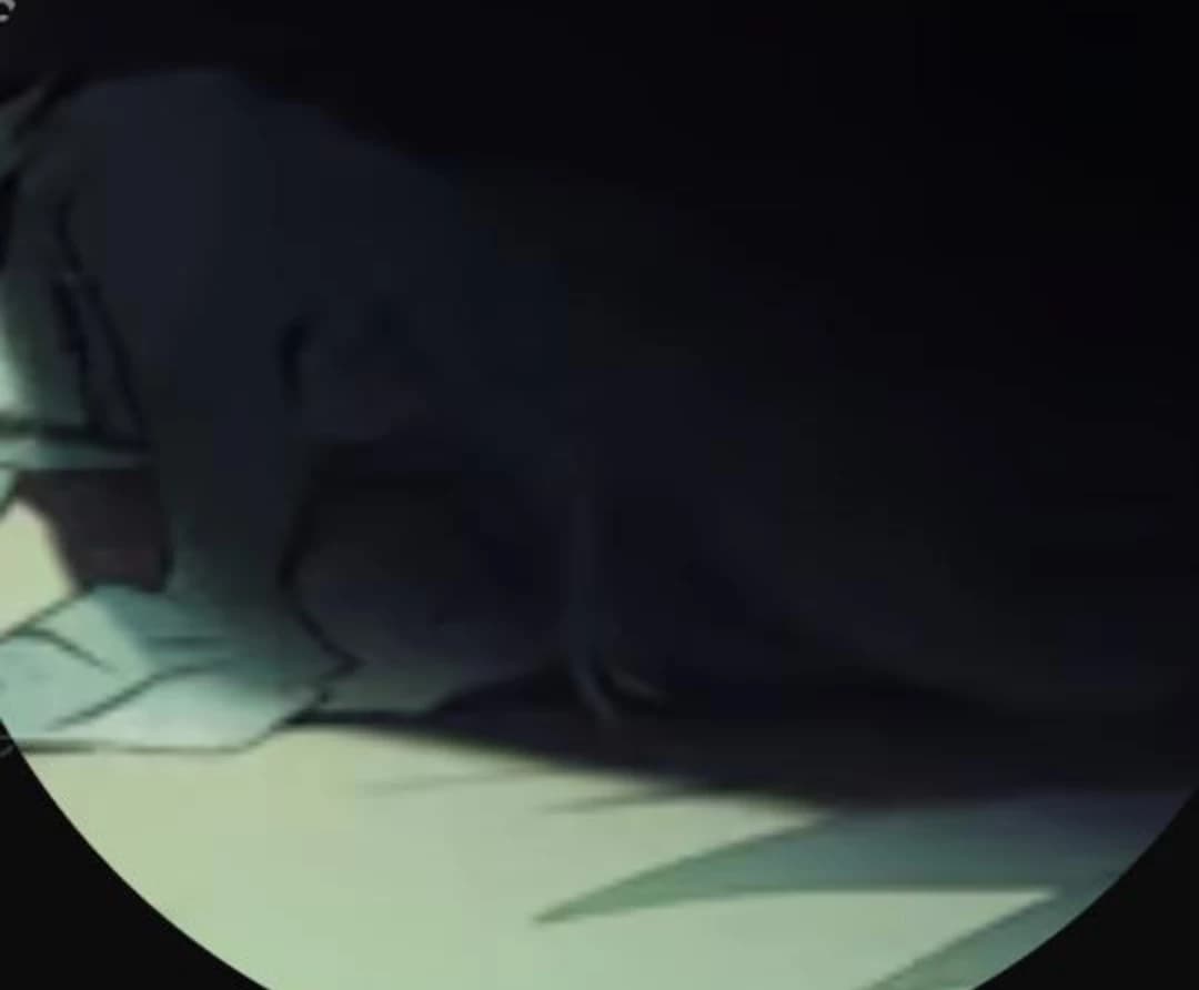 Sebastian — Pressure thumbnail