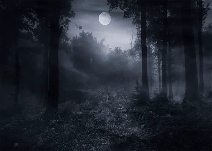 The forest  thumbnail