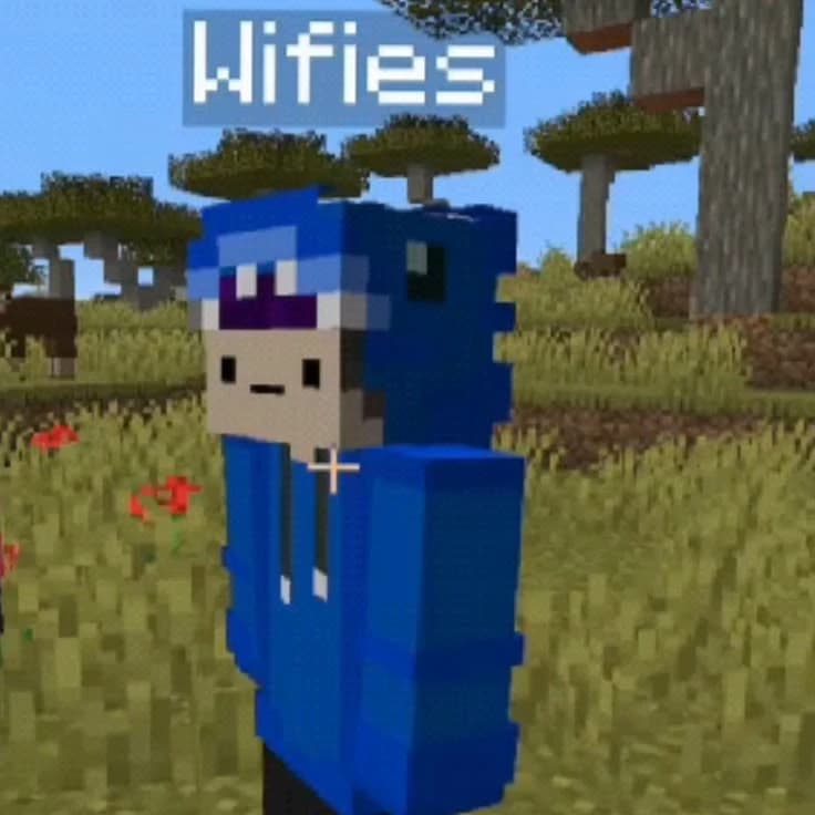 WIFIES thumbnail