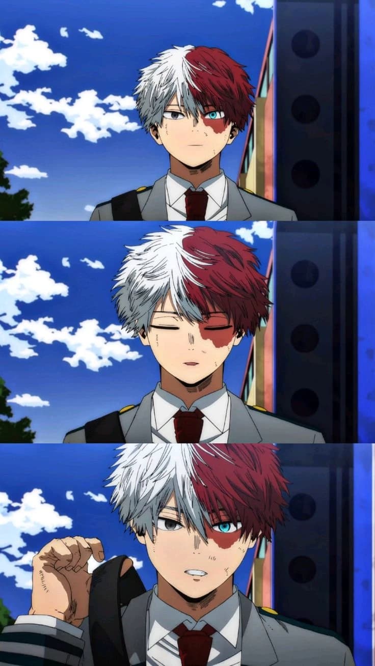 Shoto Todoroki – UA –MHA thumbnail