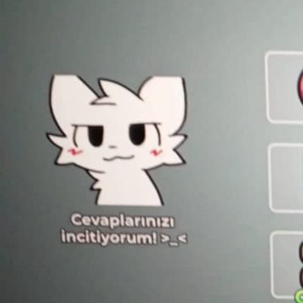 Reginald Fluffybottom III (Reggie) thumbnail