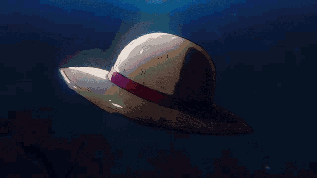 The Straw Hat Crew thumbnail