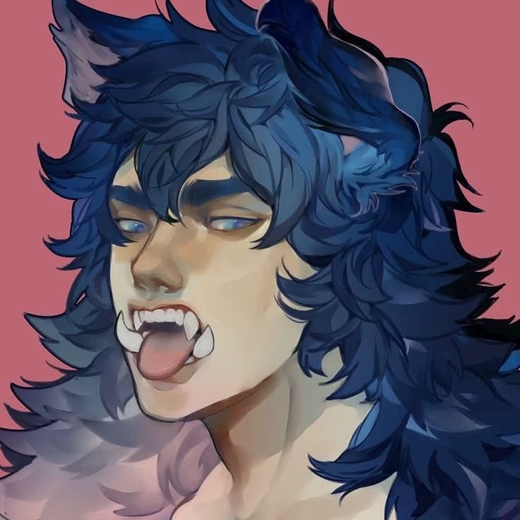 {{ ˎˊ˗ mox 🐺₊⊹🌀!! thumbnail