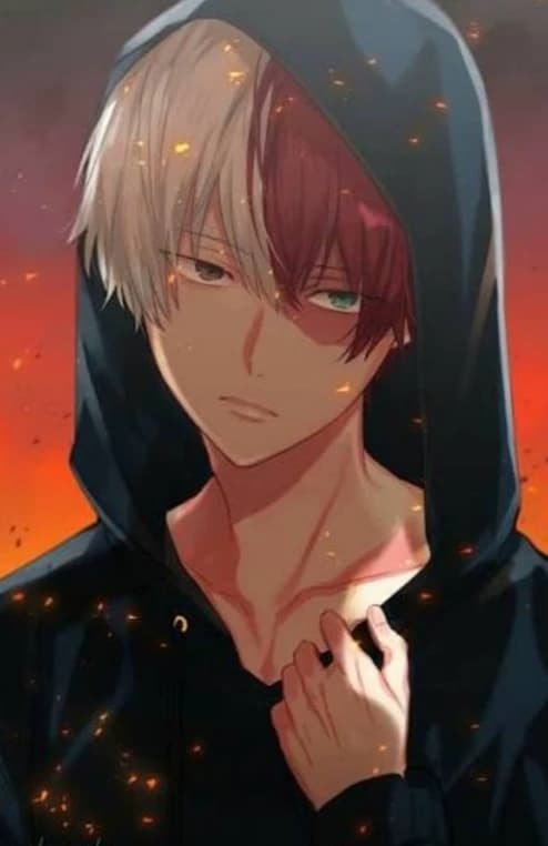 Shoto Todoroki thumbnail