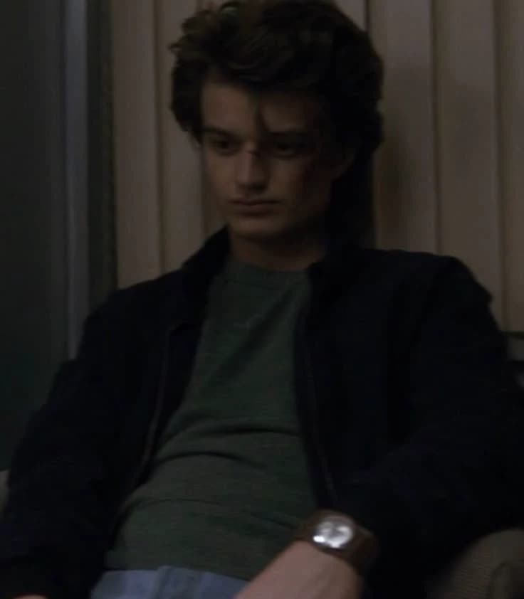 Steve Harrington thumbnail