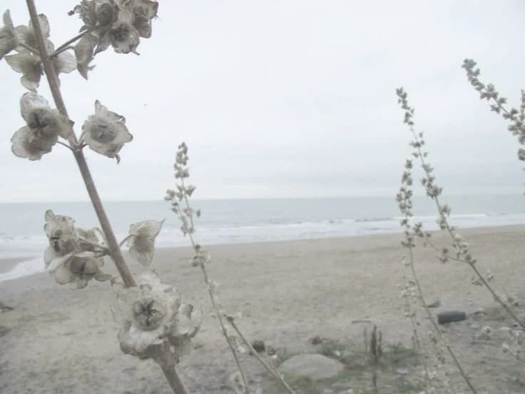 ... thumbnail