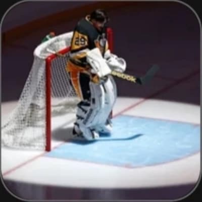 Marc-André Fleury thumbnail