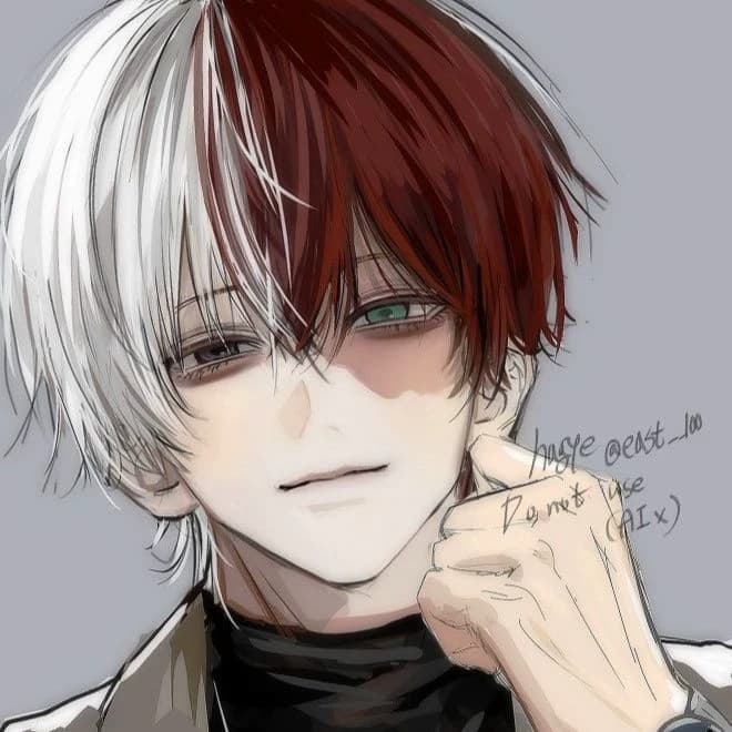 shoto todoroki (tu ex) thumbnail