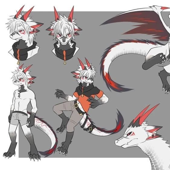 dragon tf tg thumbnail