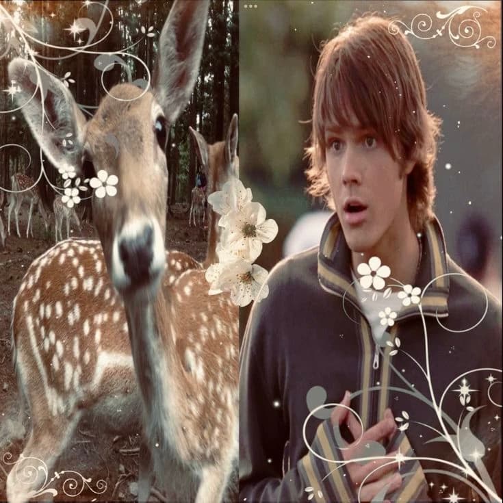 Sam Winchester thumbnail