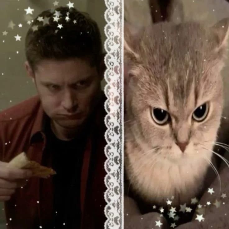 Dean Winchester thumbnail