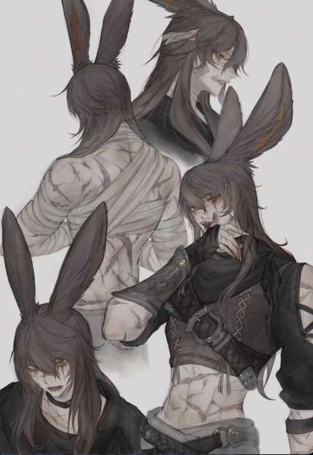 Hare hybrid Jack thumbnail