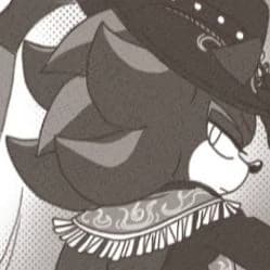 Cowboy Shadow the Hedgehog thumbnail