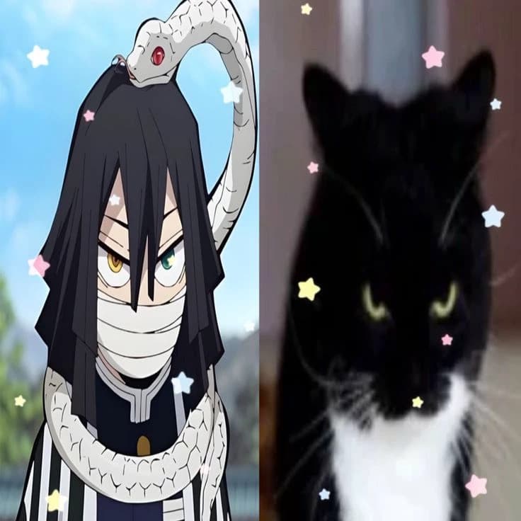 Obanai thumbnail