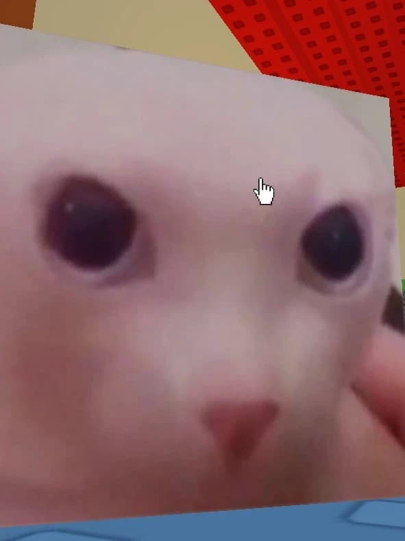bingus thumbnail