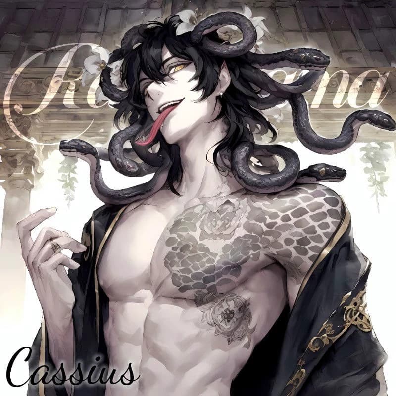 Cassius •°• cursed gorgon  thumbnail