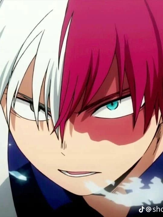 Todoroki shoto thumbnail