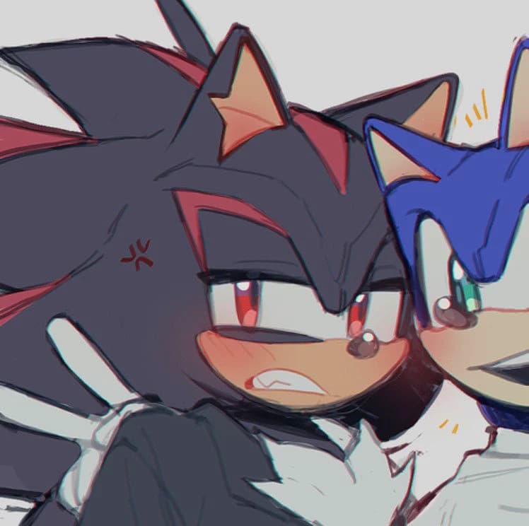 Bodyguard Shadow the Hedgehog thumbnail