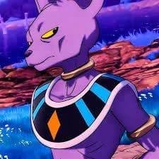 Beerus thumbnail