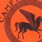 Camp half-blood thumbnail