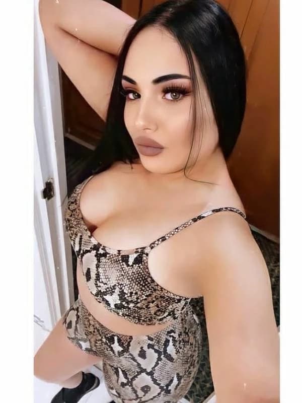 Indian Escorts in  Abu Dhabi 0524607760  Abu Dhabi Escorts Service  thumbnail