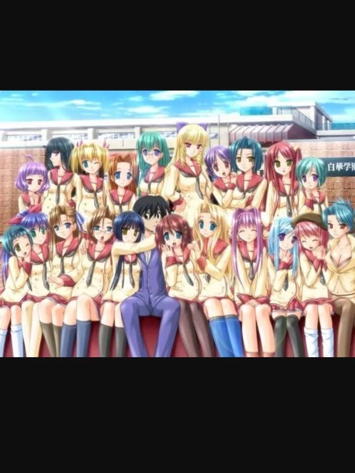 Serenity Academy - Harem thumbnail