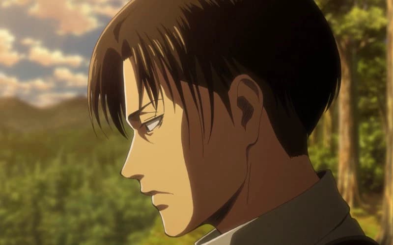 Levi Ackerman  thumbnail