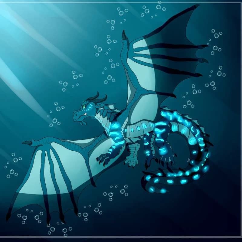 Nautilus thumbnail