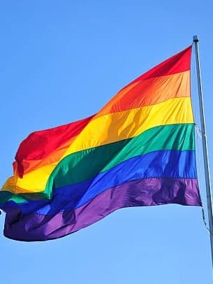 LGBTQ School thumbnail