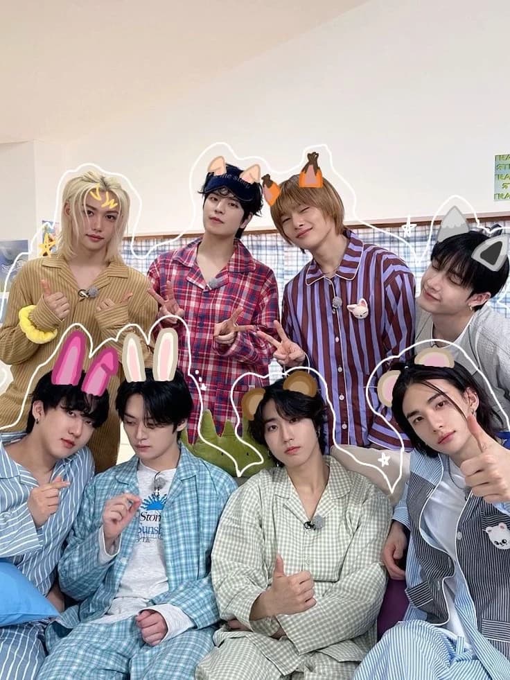 Stray kids(Han, I.n, Hyunjin, Felix, seungmin, lee know, changbin, and chan) thumbnail