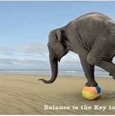 Balancing Act AI thumbnail