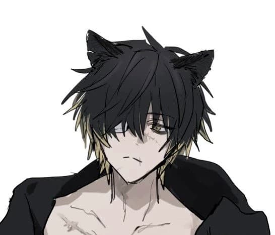 Ray - Neko thumbnail