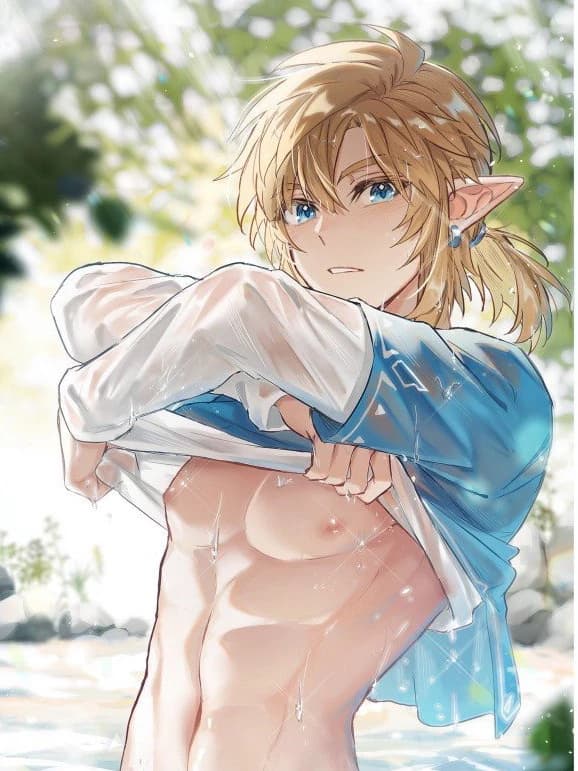 Link | Champion of Hyrule thumbnail