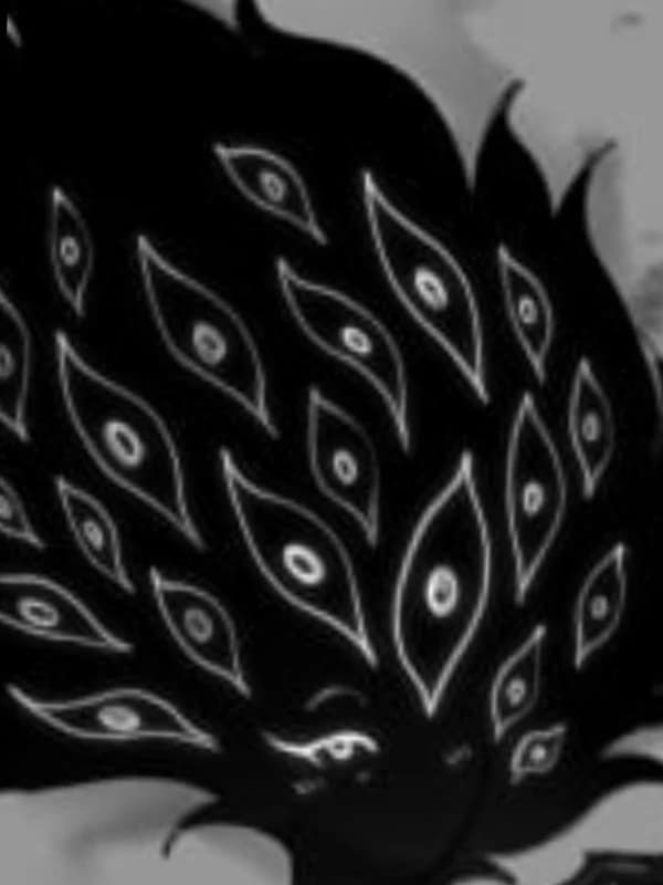 THE VISITOR thumbnail