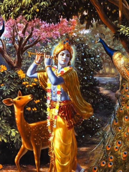 Krishna thumbnail