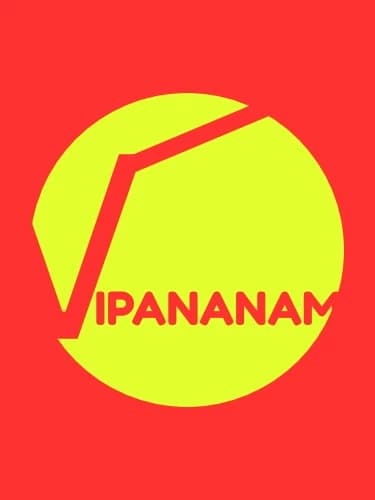 Vipananam - Build Your Complete Brand Identity Instantly thumbnail