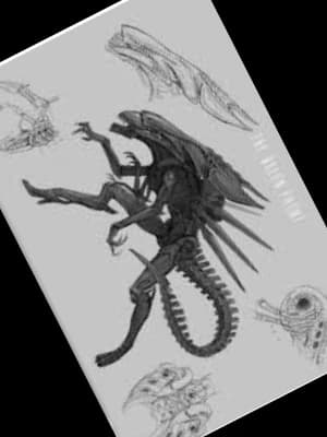Hsss-Queen thumbnail