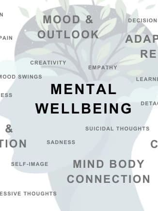 Mental Welness App thumbnail