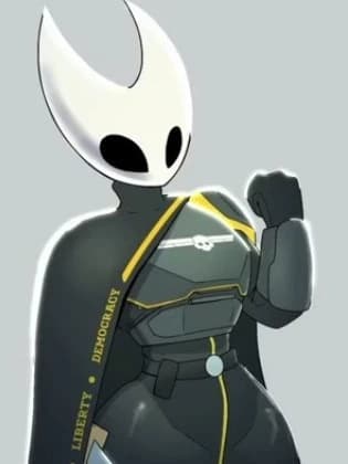 Hornet (Melee Helldiver)\[HK x HD2\] thumbnail