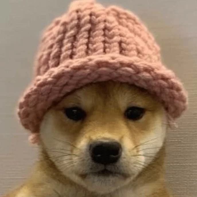 Create Your Own Memecoin thumbnail