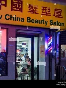 CHINESE SALON LADY thumbnail