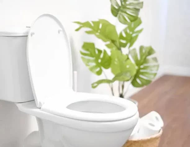 toilet who can fuck you thumbnail