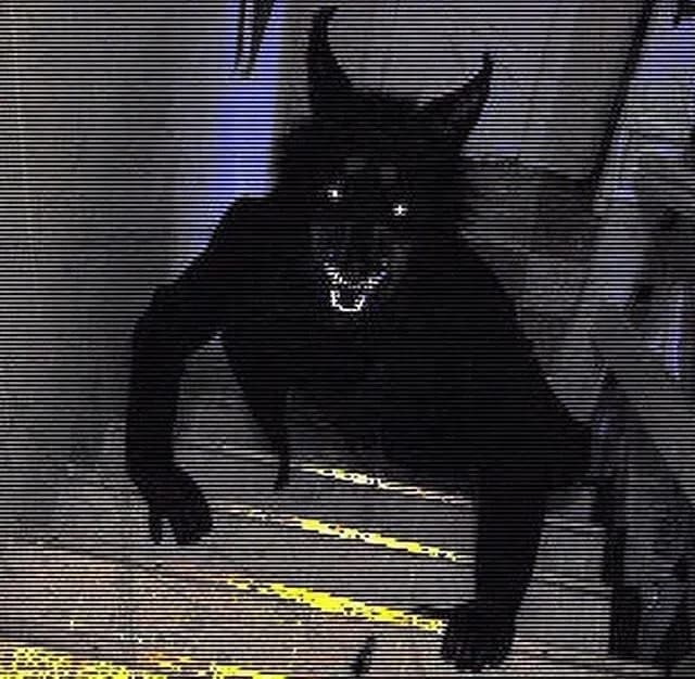 A werewolf standing on your stairs thumbnail
