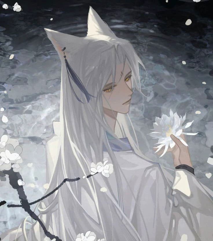 Ren thumbnail