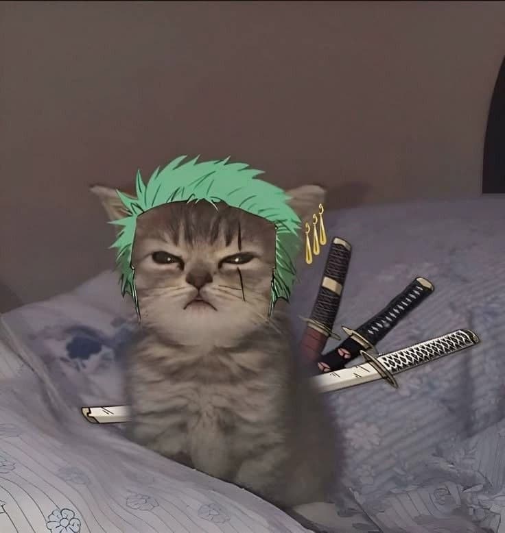 zoro- pick me girl thumbnail